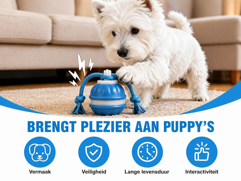 Interactieve bal voor honden