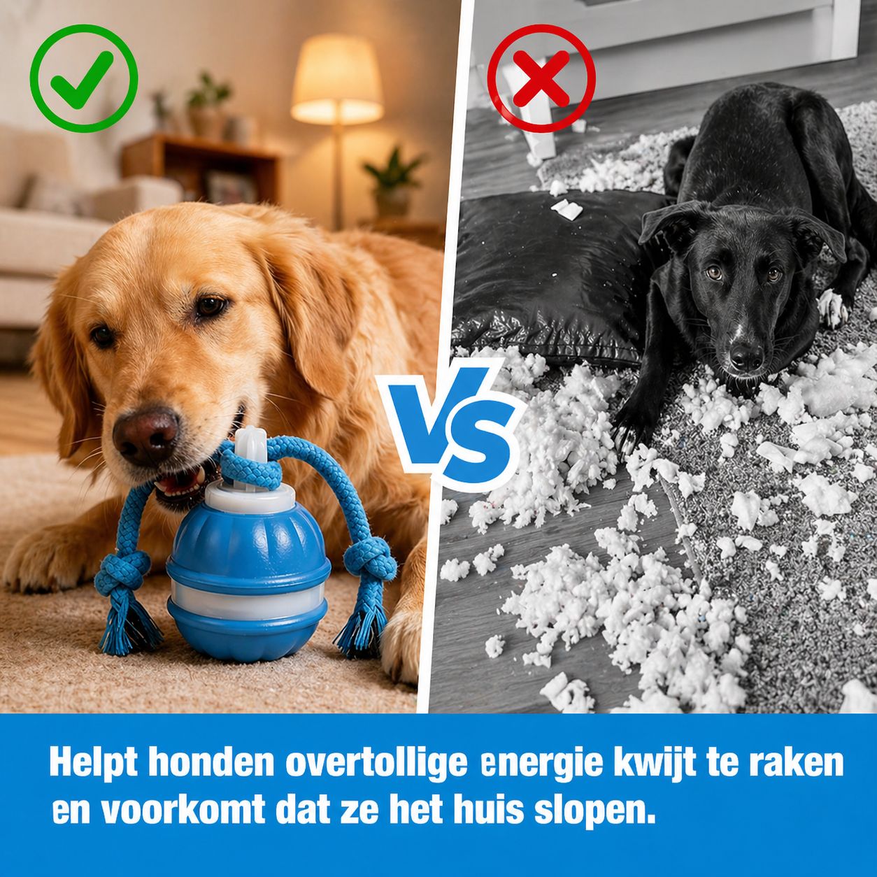 Interactieve bal voor honden