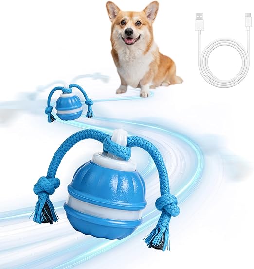 Interactieve bal voor honden