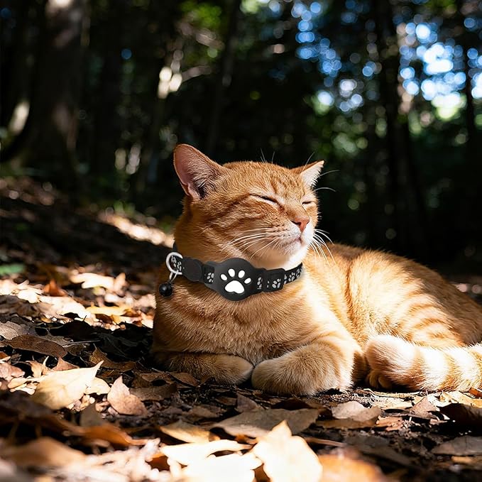 GPS-halsband voor katten en honden